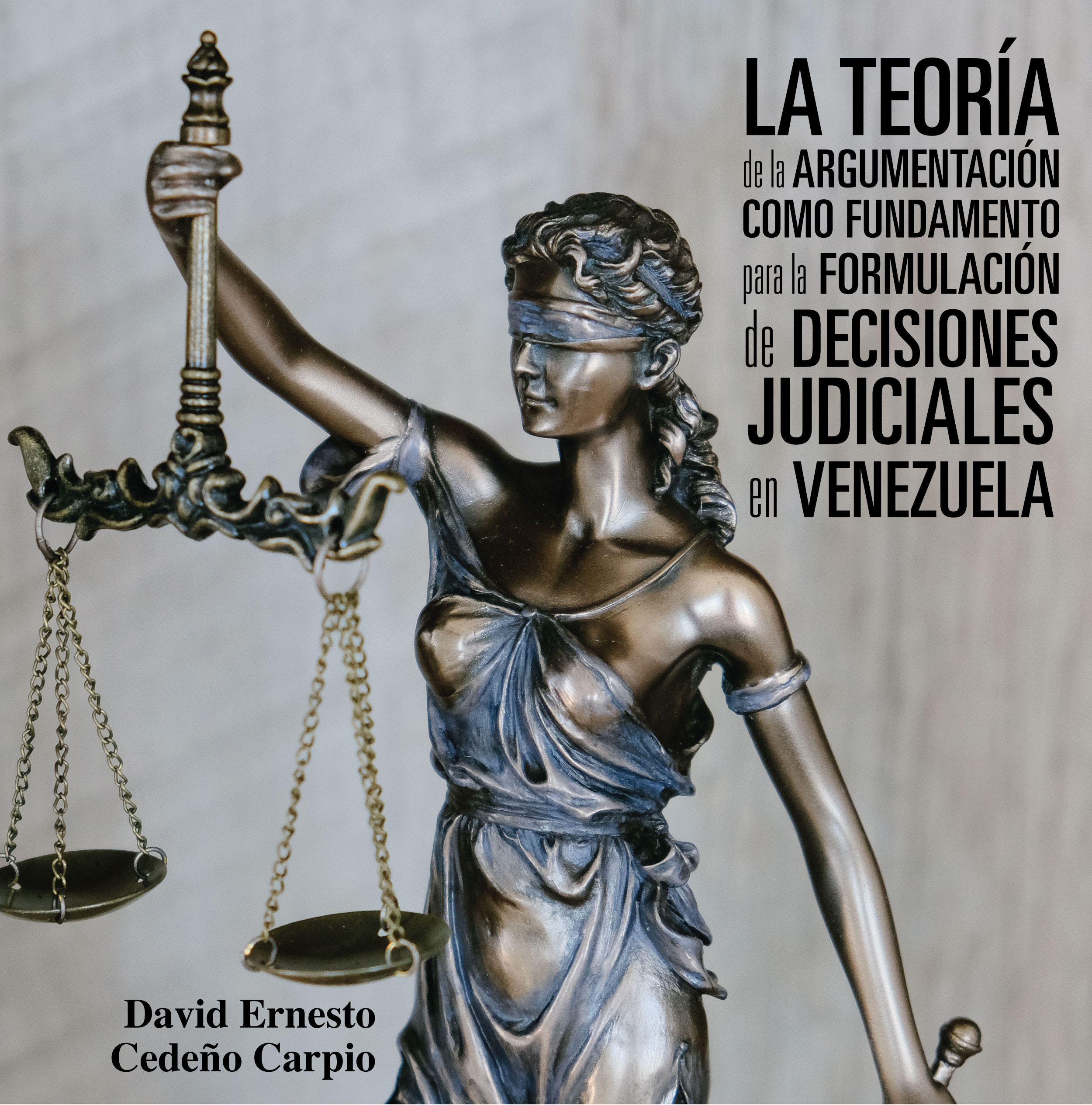La teoría de la argumentación como fundamento para la formulación de decisiones judiciales en Venezuela
